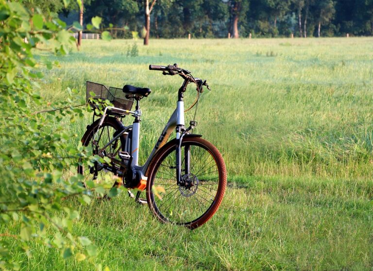 E-bike parked in a field, symbolizing the use of electric bicycles and potential scenarios leading to accidents